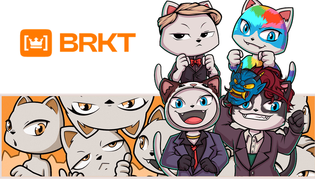 BRKT Banner